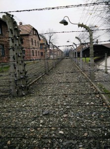 Barbed Wire Fence, Auschwitz-Birkenau Poland, Spotlight Europe