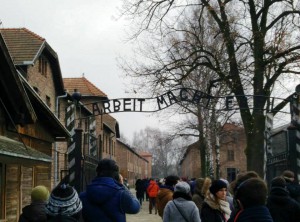 Visit to Auschwitz-Birkenau Poland, Spotlight Europe