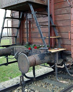 Transportation carriage, Spotlight Europe